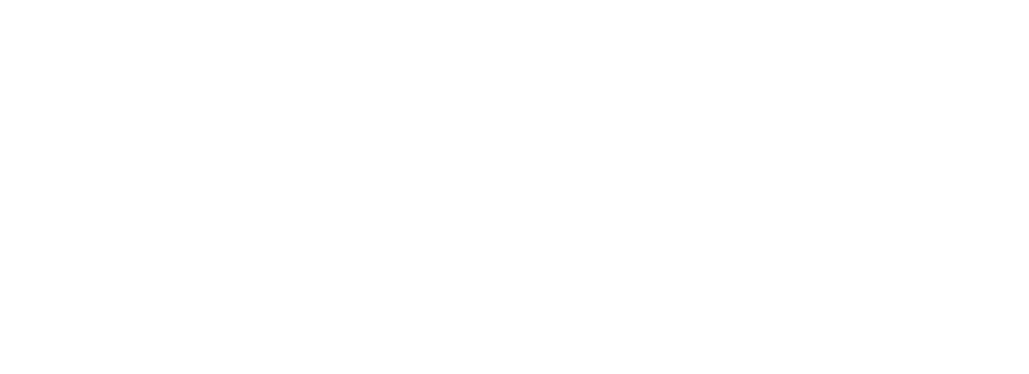 PillarPoint Consulting
